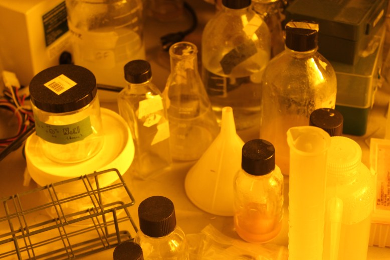 Woah man, it's like instagram