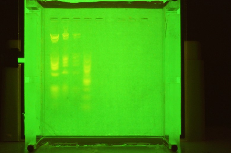 Super even, plenty bright, extremely thin