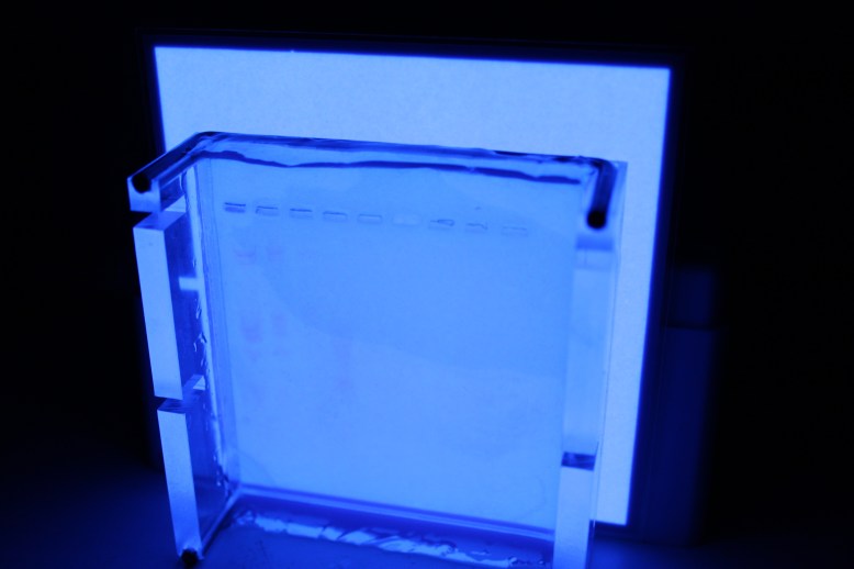 Even without a filter, your eyes and even the camera can pick out bands on the left.