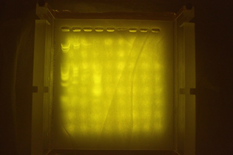 Diffused with some packing foam.