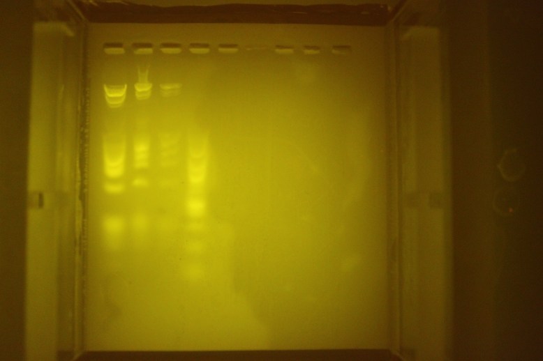 Diffused with translucent plastic, notice vignetting on top and right edges.