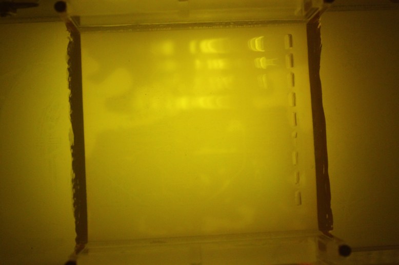 3x5 oriented the same way as above picture under diffuser.  Note top to bottom of image drop off in intensity.