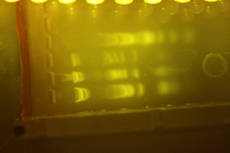 Toplit Gel.  This works suprisingly well, and gives you a lot of bang for your buck.  Lots of reflections though.