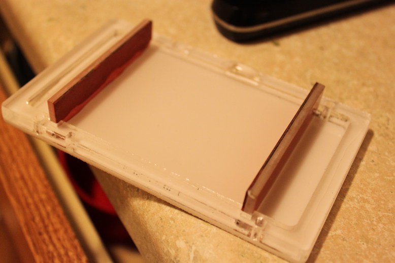 GelIS Tray Holds Water